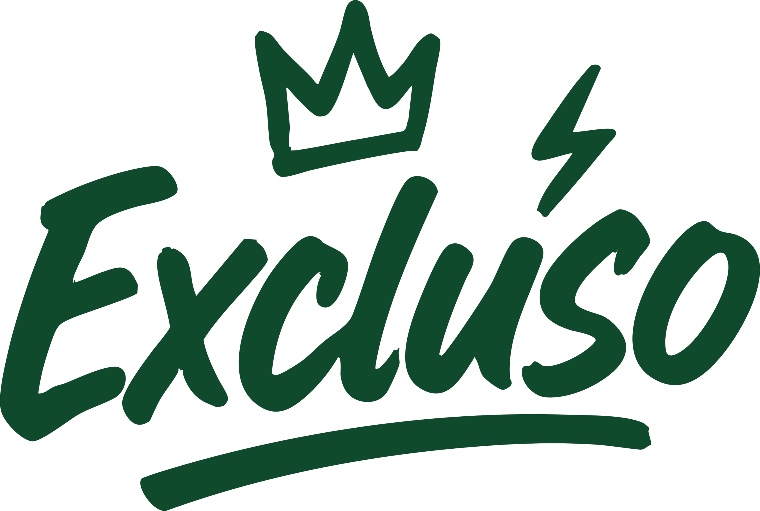 Excluso Shop
